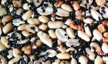 花生芝麻豆做法,花生芝麻豆的制作与享用指南